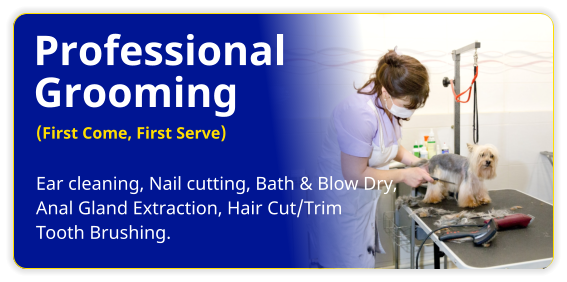 Professional Grooming Ear cleaning, Nail cutting, Bath & Blow Dry, Anal Gland Extraction, Hair Cut/Trim Tooth Brushing. (First Come, First Serve)