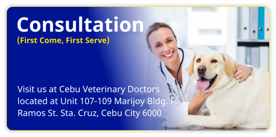 Consultation Visit us at Cebu Veterinary Doctors located at Unit 107-109 Marijoy Bldg. F.  Ramos St. Sta. Cruz, Cebu City 6000 (First Come, First Serve)