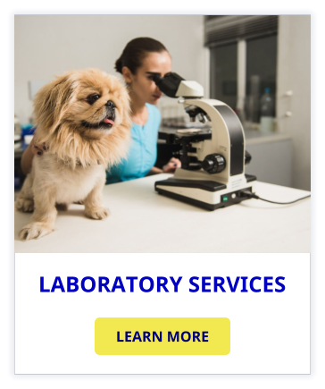 LABORATORY SERVICES LEARN MORE