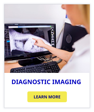 DIAGNOSTIC IMAGING  LEARN MORE